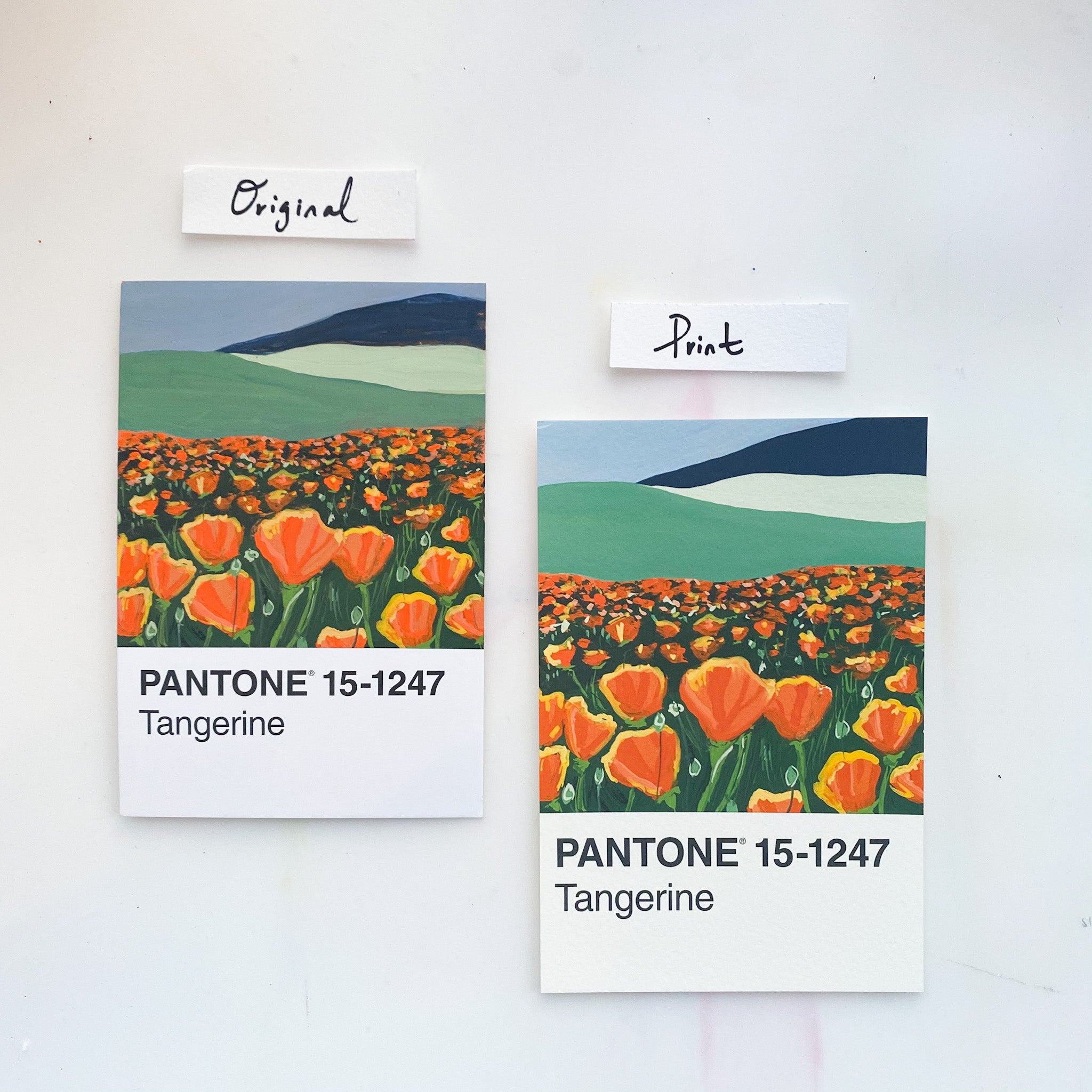 How To Order Postcard Printing With Pantone