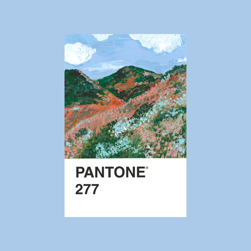 277 (print)